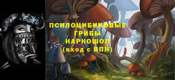 прущий лед Абдулино