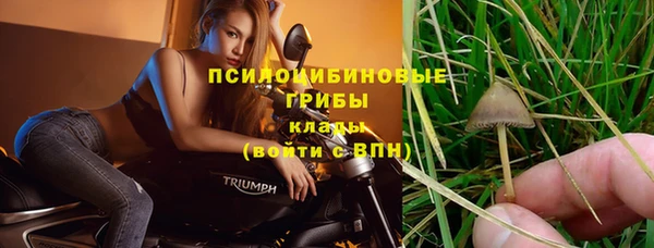 ECSTASY Алзамай
