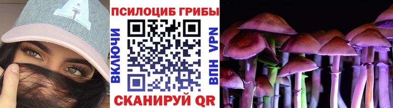 Псилоцибиновые грибы GOLDEN TEACHER  hydra ONION  Шарья 