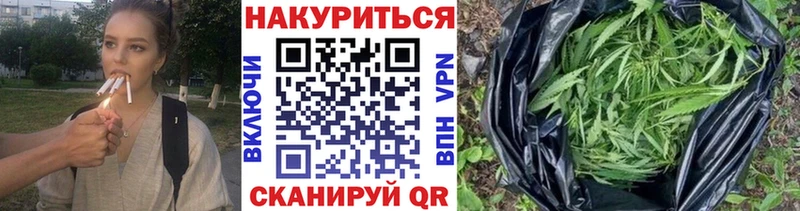 блэк спрут ссылки  Шарья  Каннабис Ganja  где купить наркоту 